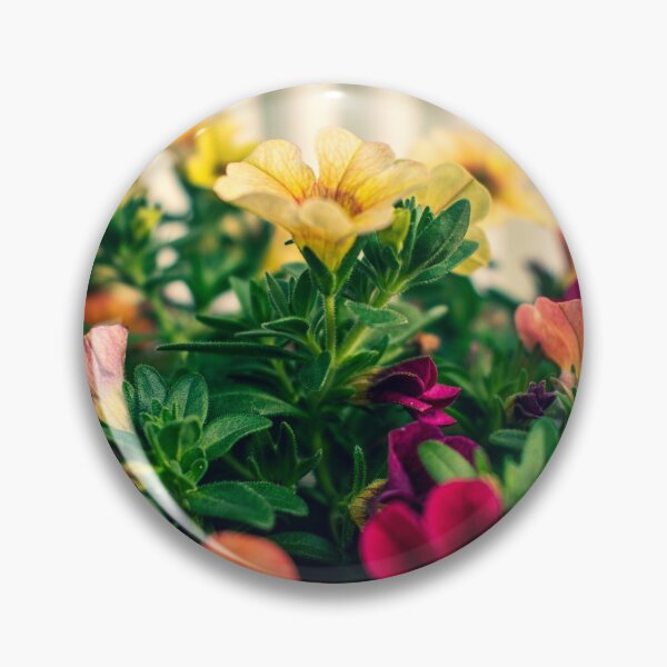 Artikelvorschau, Bunte Blumenblüten entworfen und verkauft von Melissa  Moore.