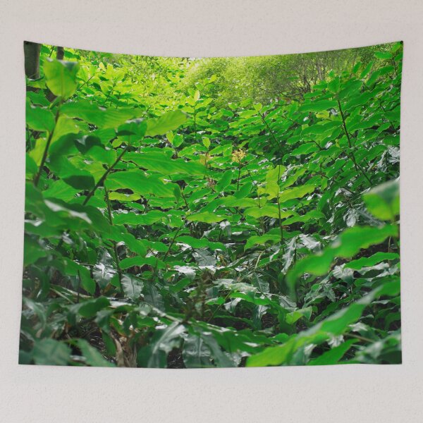 Item preview, Green foliage designed and sold by Gaspar Avila.