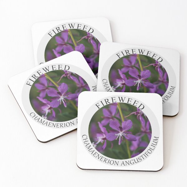 Item preview, Fireweed / Chamaenerion angustifolium designed and sold by Audun Dammen.