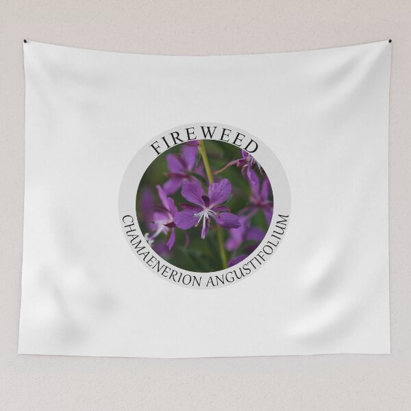 Item preview, Fireweed / Chamaenerion angustifolium designed and sold by Audun Dammen.