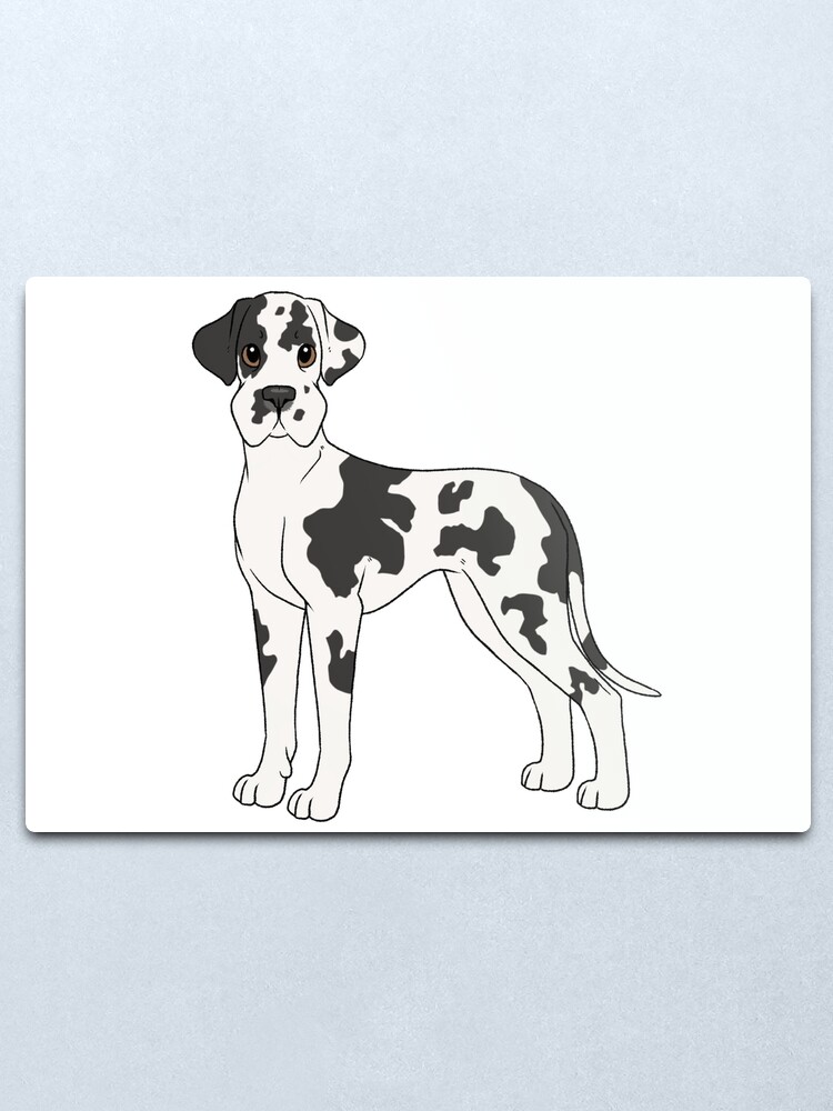 Deutsche Dogge Harlekin Metallbild Von Kiwijp Redbubble