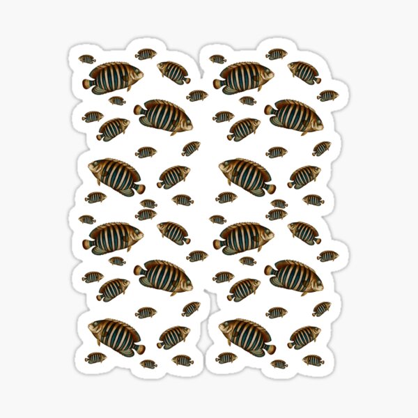 Winkelfisch Geschenke Merchandise Redbubble