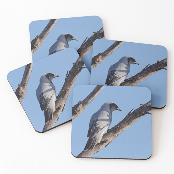 Item preview, Cuckooshrike native bird in the wild designed and sold by hendrikspix.