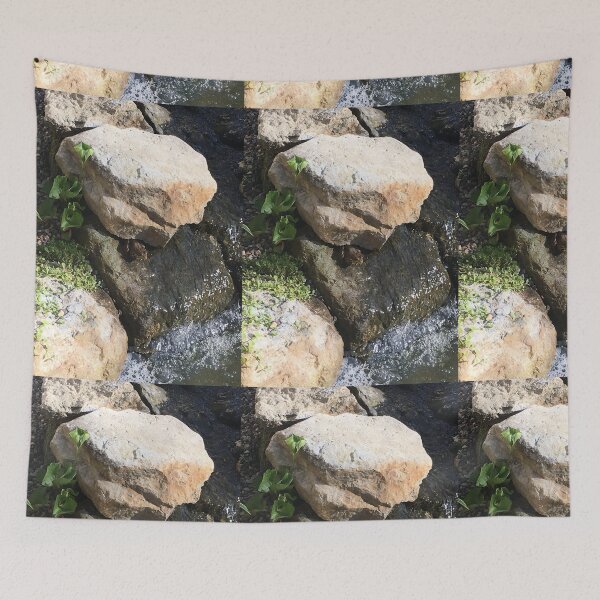 Item preview, Frog designed and sold by ceolsonart.