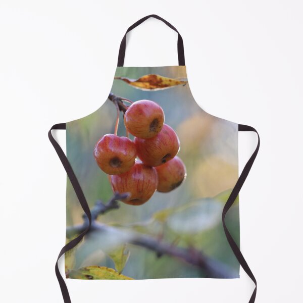 Item preview, Autumn Decoration designed and sold by cuprum.