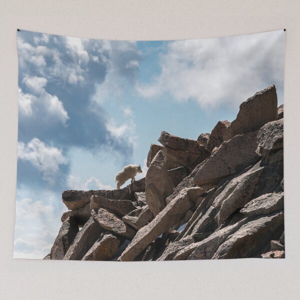 Item preview, The Climb designed and sold by DFMY.