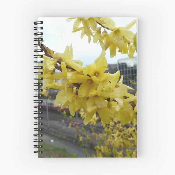 Item preview, Forsythia near the MBTA designed and sold by chiarraigrrl.