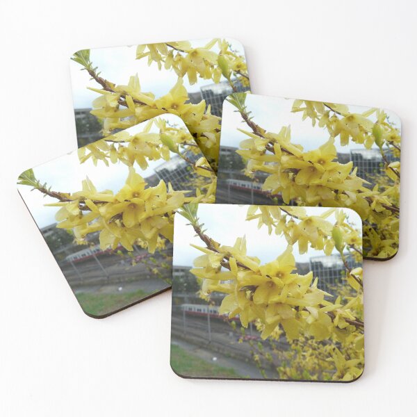 Item preview, Forsythia near the MBTA designed and sold by chiarraigrrl.