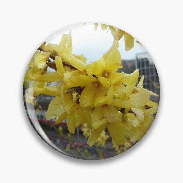 Item preview, Forsythia near the MBTA designed and sold by chiarraigrrl.