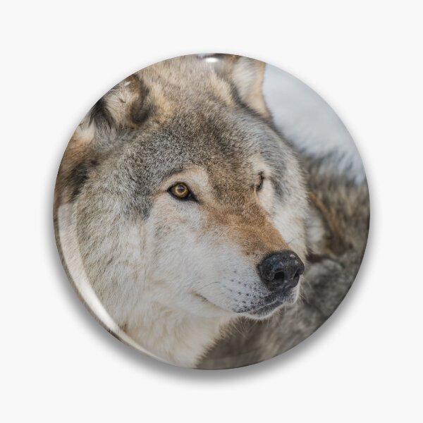 Item preview, Timber Wolves designed and sold by Michael Cummings.