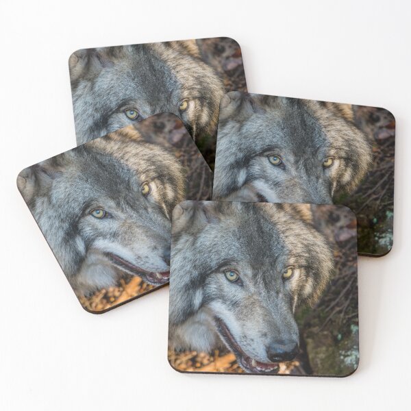 Item preview, Timber Wolf - Closeup designed and sold by Michael Cummings.