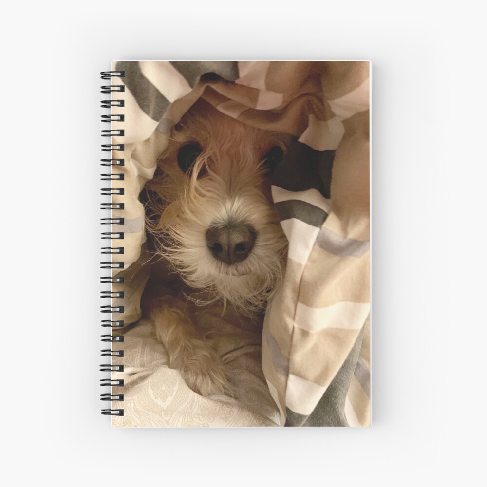 Peek-A-Boo Spiral Notebook