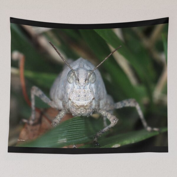 Item preview, White Grasshopper Face designed and sold by mark-bugs-org.