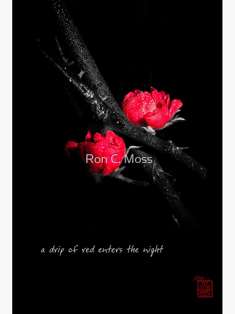 a drip of red by ronmoss