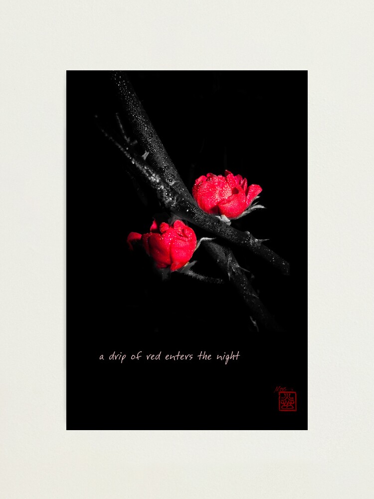 Alternate view of a drip of red Photographic Print