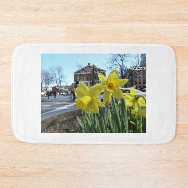 Item preview, Daffodils at Faneuil Hall designed and sold by chiarraigrrl.