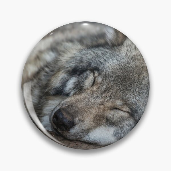 Item preview, Nap Time designed and sold by Michael Cummings.