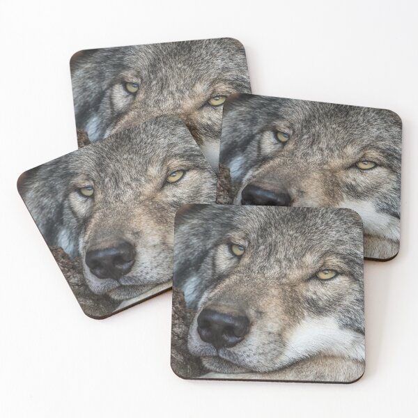 Item preview, Timber Wolf - Closeup designed and sold by Michael Cummings.
