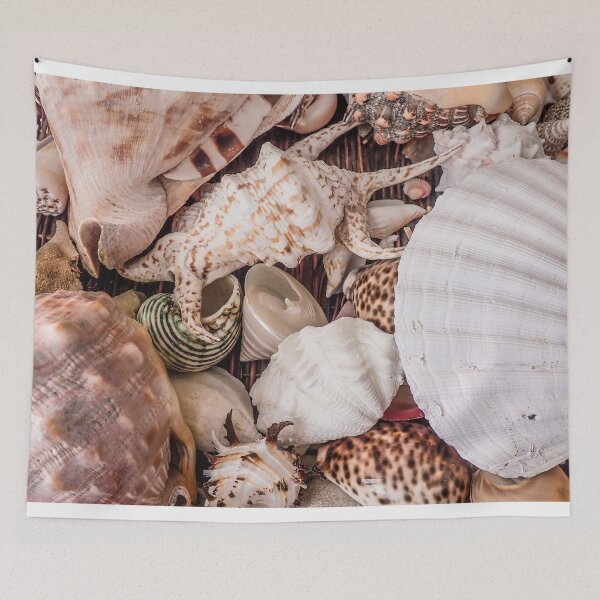 Item preview, Various shells decoration designed and sold by jsebouvi.