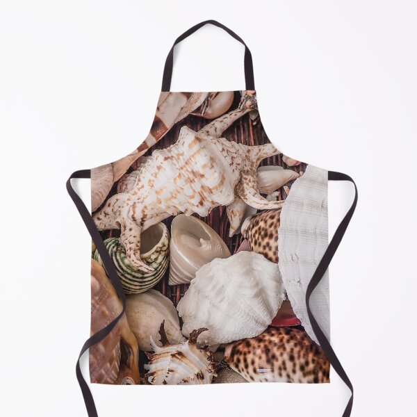 Item preview, Various shells decoration designed and sold by jsebouvi.