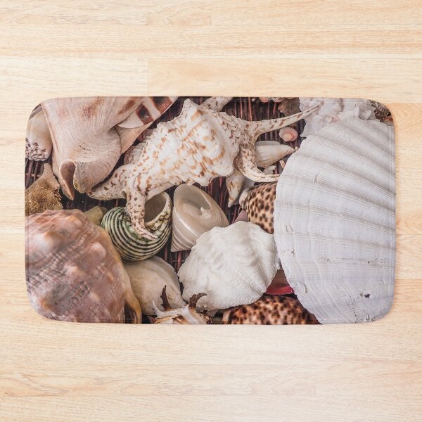 Item preview, Various shells decoration designed and sold by jsebouvi.