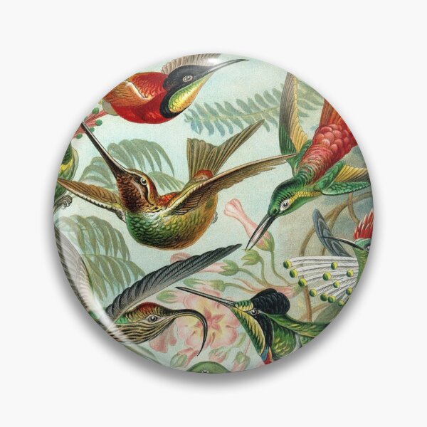 Item preview, Haeckel Trochilidae designed and sold by TribeJunky.