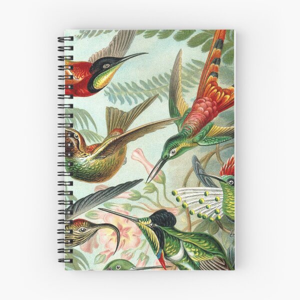 Item preview, Haeckel Trochilidae designed and sold by TribeJunky.