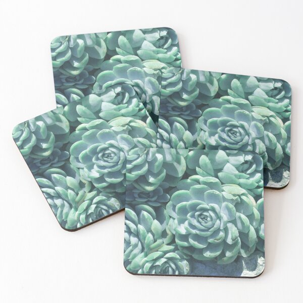 Item preview, Succulent Echeveria Elegans designed and sold by Wabi Tabby.