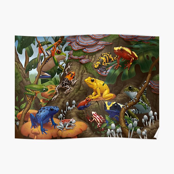 Exotic Frogs Poster
