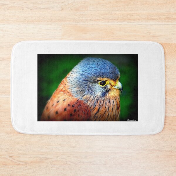 Item preview, European Kestrel  designed and sold by naturelover.