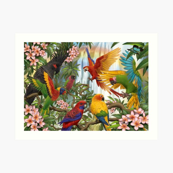 Parrot Rainbow Art Print