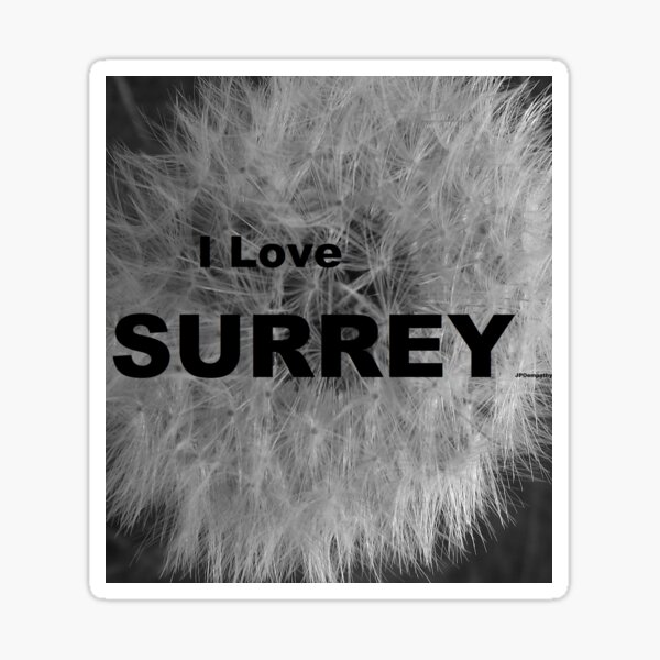 Aperçu de l'œuvre I Love SURREY créée et vendue par JPOempathy.