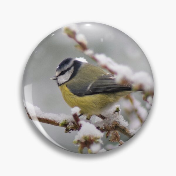 Item preview, Blue Tit in Snow designed and sold by Emma Kimberley.