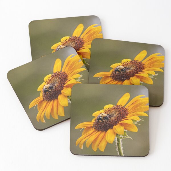 Item preview, Bee on sunflower designed and sold by bwatkinsphoto.