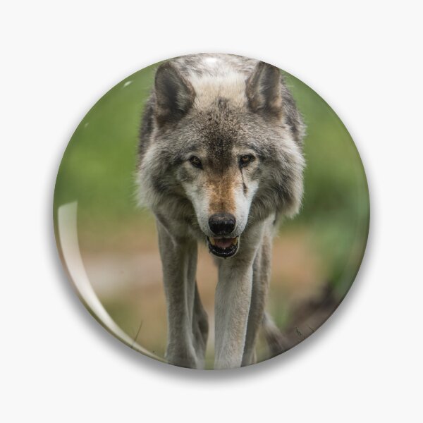 Artikelvorschau, Timber Wolf entworfen und verkauft von Michael Cummings.