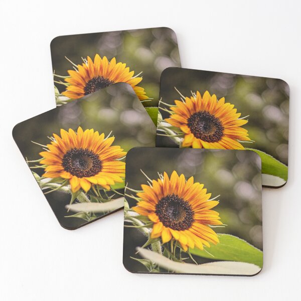 Item preview, Yellow Sunflower afternoon designed and sold by bwatkinsphoto.