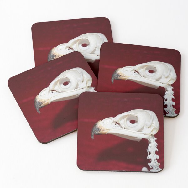 Item preview, Young Buzzard Skeleton designed and sold by LivingDeadGirlx.