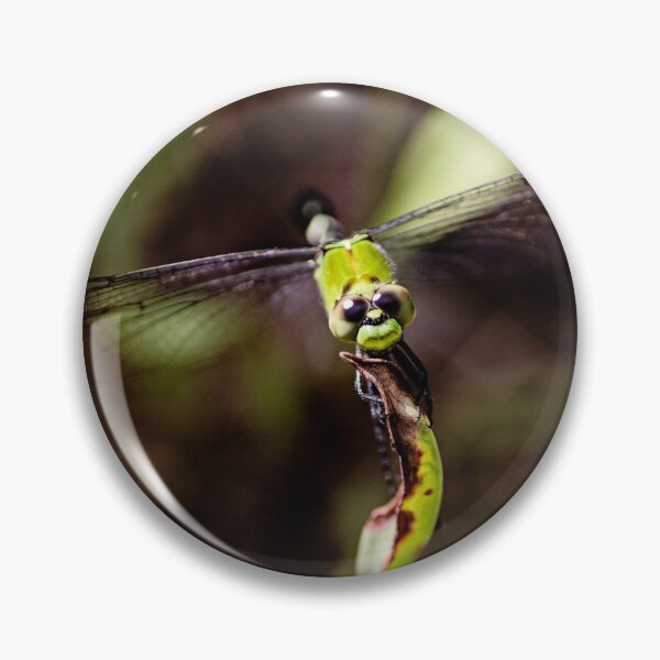 Item preview, Dragonfly smiling closeup designed and sold by bwatkinsphoto.
