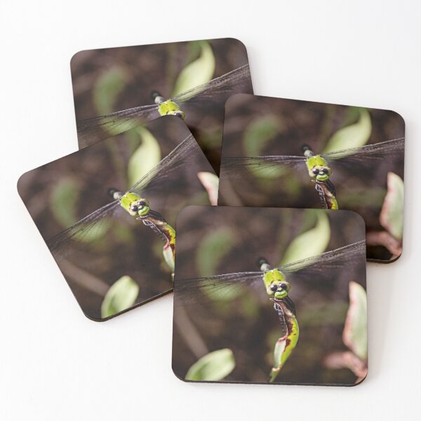 Item preview, Dragonfly smiling closeup designed and sold by bwatkinsphoto.