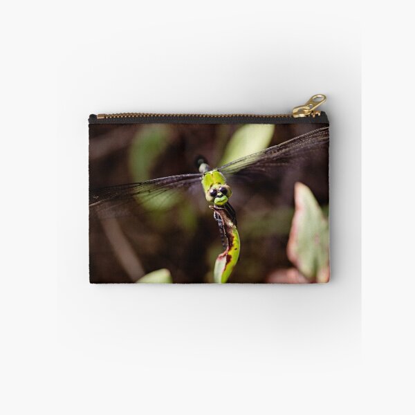 Item preview, Dragonfly smiling closeup designed and sold by bwatkinsphoto.