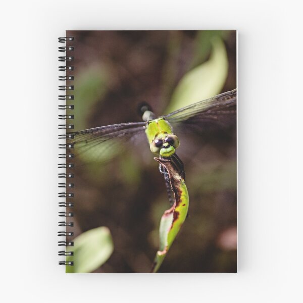 Item preview, Dragonfly smiling closeup designed and sold by bwatkinsphoto.