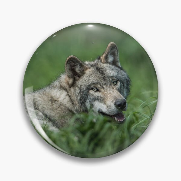 Item preview, Timber Wolf designed and sold by Michael Cummings.