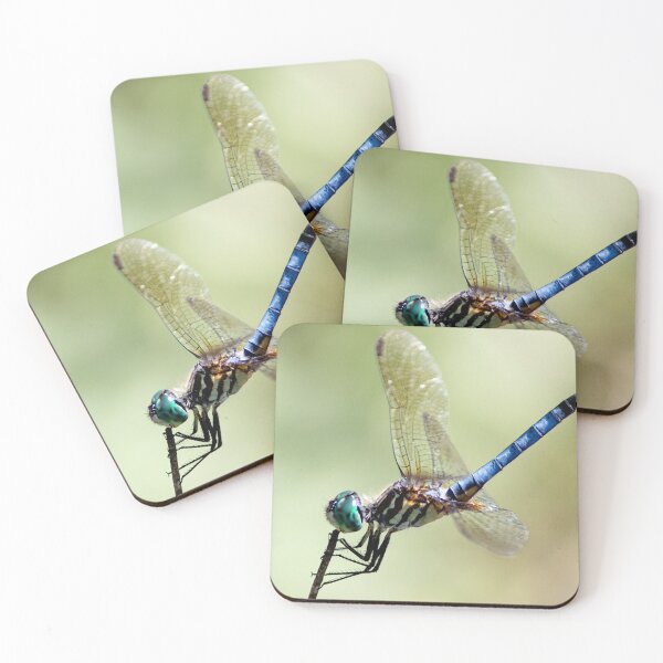 Item preview, Dragonfly photograph designed and sold by bwatkinsphoto.
