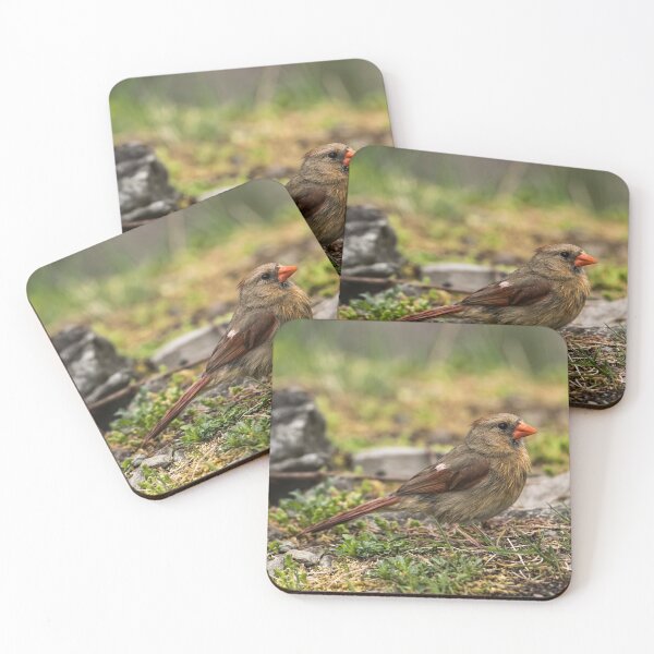 Item preview, Female Northern Cardinal designed and sold by Michael Cummings.