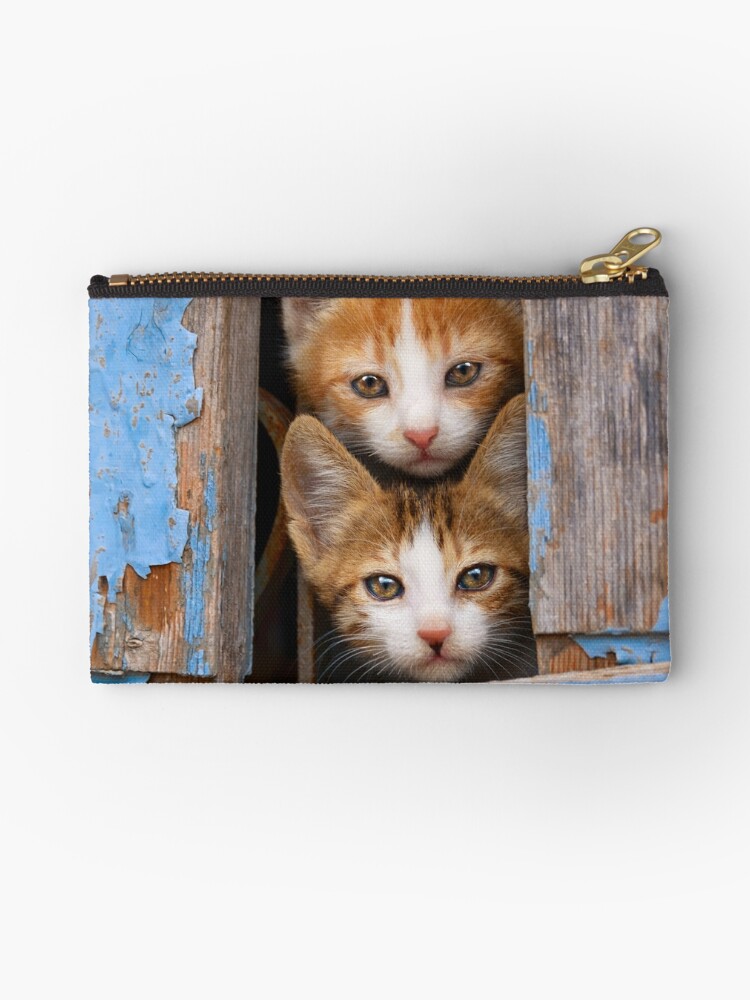 cat window pouch