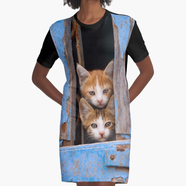 Cute Cat Kittens in a Blue Vintage Window Graphic T-Shirt Dress