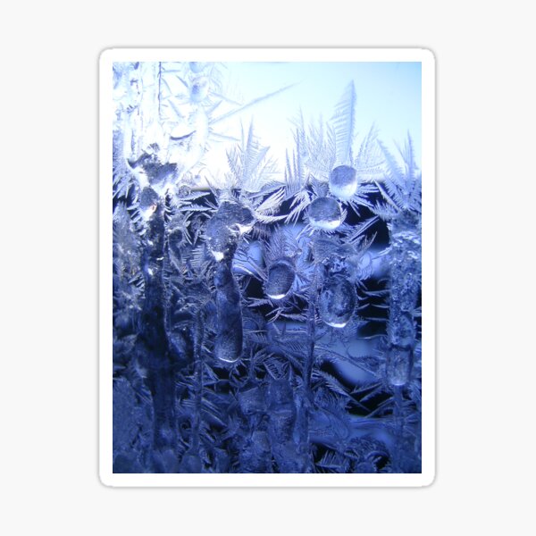 Iceflowers Sticker