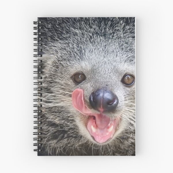 Item preview, Binturong -2 designed and sold by Martina Nicolls.
