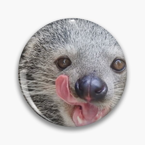 Item preview, Binturong -2 designed and sold by Martina Nicolls.