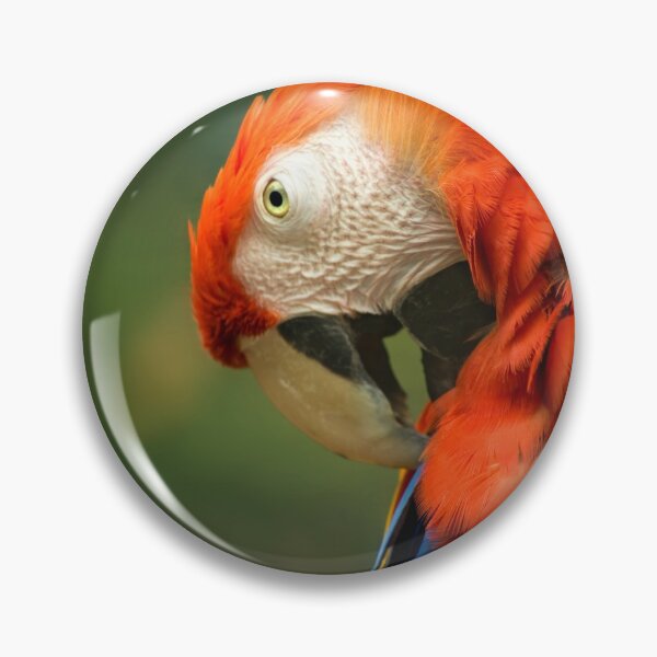 Item preview, Red Parrot, the Scarlet Macaw – portrait designed and sold by steppeland.
